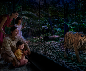 Night Safari | Mandai Wildlife Reserve